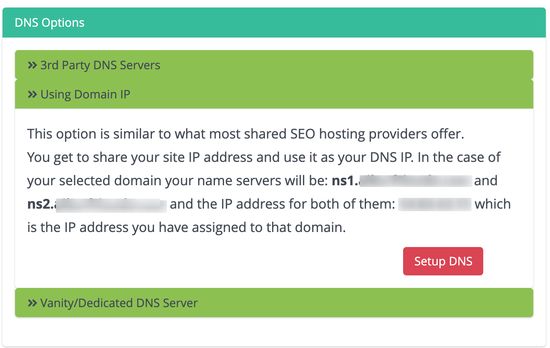 servidor DNS vanity - misma IP