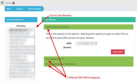 Smart SEO DNS Manager - Interfaz principal
